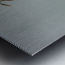 Blue Heron on the Shore Metal print