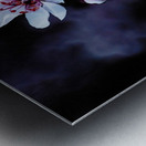 Night Flowers Metal print