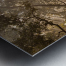 Misty Winter Mornings in forest Metal print