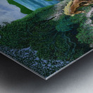 1991 014 Metal print