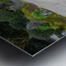 Reiun-in KyotoDSC_0079 Metal print