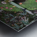 Koto-in KyotoDSC_0072 Metal print