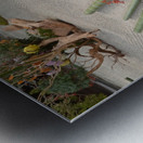 Sennyu-ji KyotoDSC_0570 Metal print