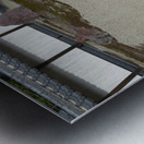 Sennyu-ji KyotoDSC_0581 Metal print