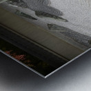 Ryuno Niwa Tofuku-jiDSC_0286 Metal print