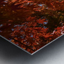 Toji Kyoto DSC_1449 Metal print