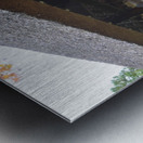 Koetsu-ji KyotoDSC_0219 Metal print