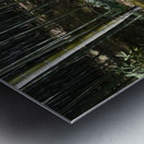 Bamboo forrest KyotoDSC_1258 Metal print