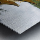 Kinkaku-ji KyotoDSC_0596 Metal print