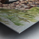 Crockett California Saint Rose Of Lima Church Grotto Metal print