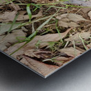 Snapchat 1522267205 Metal print