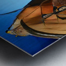 Composicion10023 Metal print