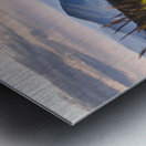 Soft chill in Bieszczady Metal print