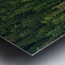 Annette Lake Metal print