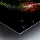 Firework Dream 4 Metal print