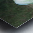 IMG_20200918_165303 Metal print