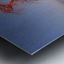 AdriaanPrinsloo 7215 Metal print