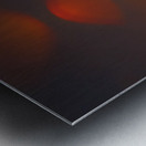 AdriaanPrinsloo 4028 Metal print