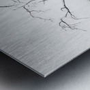 AdriaanPrinsloo 103951 Metal print