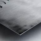 AdriaanPrinsloo 6718 Metal print