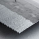 AdriaanPrinsloo 6071 Metal print