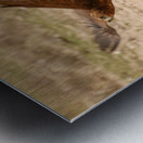 AdriaanPrinsloo 7140 2 Metal print