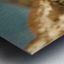 AdriaanPrinsloo 8074 Metal print