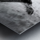 AdriaanPrinsloo 7140 Metal print