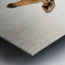 AdriaanPrinsloo 5035 Metal print