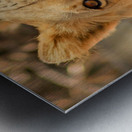 AdriaanPrinsloo 7888 Metal print