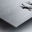 AdriaanPrinsloo 13001 Metal print