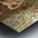 AdriaanPrinsloo 6686 Metal print