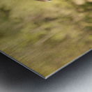 AdriaanPrinsloo 6942 Metal print