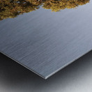 Nice tree of my village Metal print