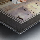 GODs Creatures by Eugene de Blaas Old Masters Classical Art Reproduction Metal print