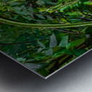 Green Arch Metal print