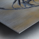 Frost Metal print