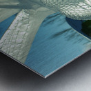 Ice Dragonfly Metal print