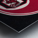 1984 South Carolina Football Helmet Art  Metal print