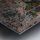 IMG_1577 Metal print