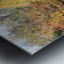 IMG_4130 Metal print