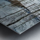 Cat Tracks Metal print