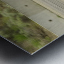 Hot Harley Metal print