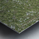 Gonna Buy Me a Mercury Metal print