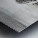 Bison B&W Metal print