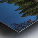 Aspen Photobomb Metal print