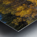 Reflecting Aspens Metal print