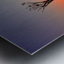 Solitude Metal print