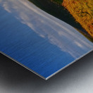 Bliss in Oil Metal print