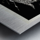 Birdofprey2 Metal print